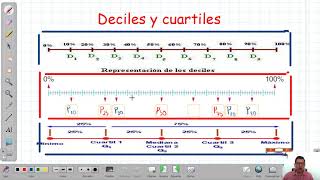 Percentiles deciles y cuartiles ¿Cómo se calculan y cómo se interpretan ¡EXPLICACIÓN SENCILLA [upl. by Trahern]