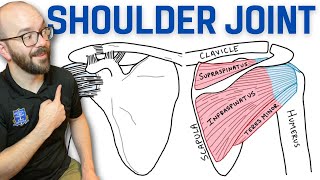 Anatomy of the Shoulder Joint  Bones Ligaments and Muscles [upl. by Temme]