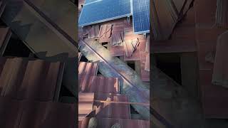 Roof repairs Tile tileroofing rooftile roofers [upl. by Bachman]