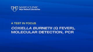 A Test in Focus Coxiella burnetii Q Fever Molecular Detection PCR [upl. by Nnyleuqaj]