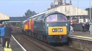 SWANAGE RAILWAY DIESEL GALA CONVOY  D1015 20302 20311 amp 50021 at Wareham 080524 [upl. by Eizzo]