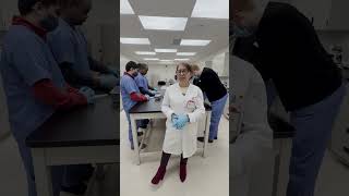 Phlebotomy Training for Sonography Students [upl. by Rydder]