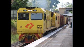 PN and Aurizon container trains on Pinkenba line Clayfield [upl. by Anyrak211]