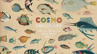 Cosmo Sheldrake  Linger A While [upl. by Angeli]