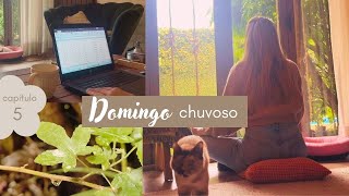 Domingo chuvoso [upl. by Jew]