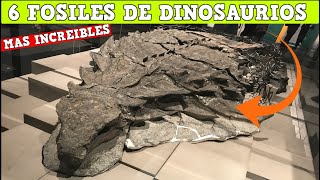 Los 6 Fósiles de dinosaurios mas increíbles [upl. by Aicenev]