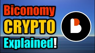 What is Biconomy  BICO Cryptocurrency Explained [upl. by Arotahs455]