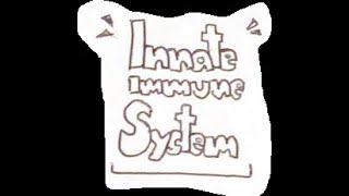 Innate Immune system [upl. by Padget420]