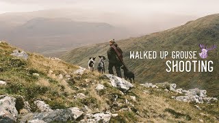 WALKED UP GROUSE SHOOTING  SCOTLAND [upl. by Ydarb]