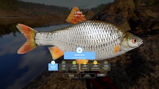 Russian Fishing 4 Common Roach RARE Trophy  Ladoga Lake [upl. by Verina]