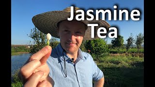 A Fujianese Afternoon Tea Part 1 Jasmine Tea [upl. by Hairim417]