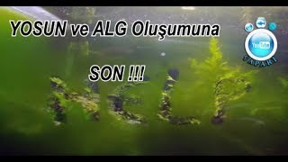 Yosun ve Alg OluÅŸumuna Son [upl. by Rap]