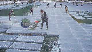 Japan’s Genius Way to Produce Tons of Ice Blocks Every Year [upl. by Gates731]