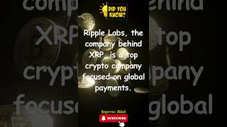 Ripple Labs The Top Crypto Company Behind XRP and Global Payment Solutions [upl. by Veriee]