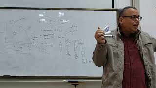 12 Relation between muscle lengthtension amp velocity of contraction Part II [upl. by Eylrac545]