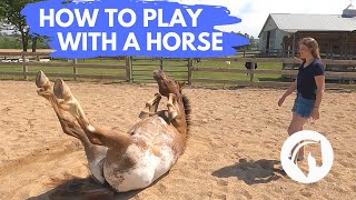 HOW TO PLAY WITH A HORSE [upl. by Sloan721]