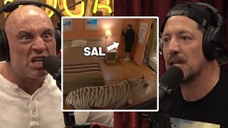 INSANE Prank That Could Have Ended Sals Life  Joe Rogan amp Sal Vulcano [upl. by Tremann698]