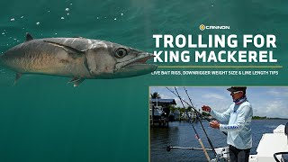 Trolling for King Mackerel Live Bait Rigs amp Downrigger Tips [upl. by Maria]