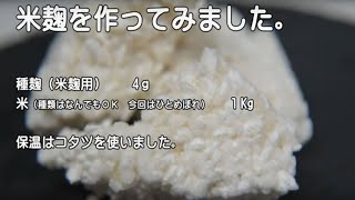 米麹（米こうじ）の作り方。コタツで作ってみました。 [upl. by Relyt]