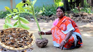 ELEPHANT FOOT YAM amp CRAB RECIPE  Ol Crab Recipe  Village Cooking [upl. by Bara]