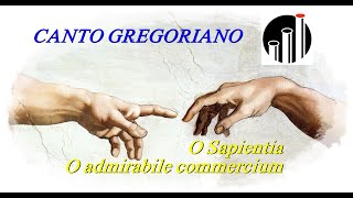 Canto Gregoriano quotO Sapientia  O Admirabile commerciumquot Canto Alessio Cervelli [upl. by Cutter]