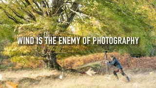 Is Wind The Enemy of Landscape Photography [upl. by Fiona]