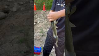 River fishing Large mouth bass [upl. by Gardel]