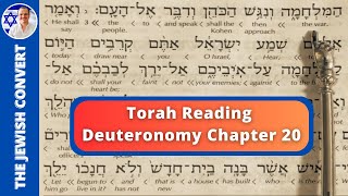 Deuteronomy Chapter 20  Torah Reading in Hebrew with English Translation  TORAH STUDY [upl. by Nylirrehs882]