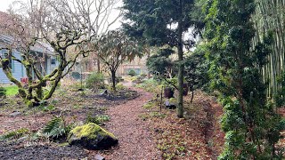 A Hellebore Tour at Northwest Garden Nursery [upl. by Nnyleak295]