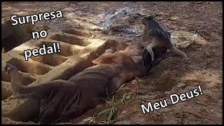 Ciclistas e locais resgatando uma vaca na zona rural de Divinópolis MG [upl. by Amsaj]