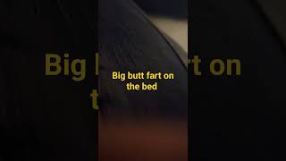 Fart no 600  Big butt fart on the bed [upl. by Ivz]