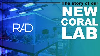 CORAL LAB LAUNCH GREAT AQUACULTURE CORALS FOR ALL OUR CUSTOMMADE AQUARIUMS BY REEF AQUARIA DESIGN [upl. by Eruza]