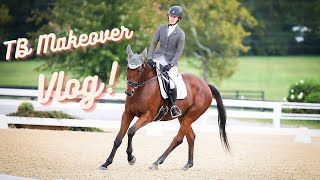 Thoroughbred Makeover Vlog [upl. by Enyaj749]