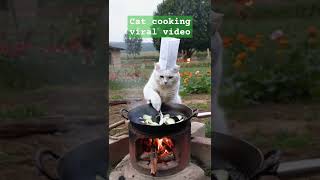 Cat cooking viral video funny  new trending video [upl. by Jonie751]