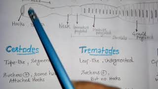 Cestodes trematodes and nematodes। Parasite classification । Definitive and intermediate host [upl. by Crosby]