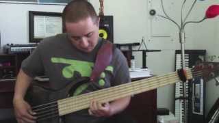 La Bella White Nylon Bass Strings Demo [upl. by Odraode]