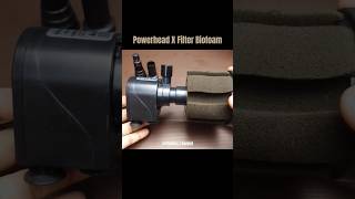 Powerhead X Filter Biofoam shorts [upl. by Anauqed]