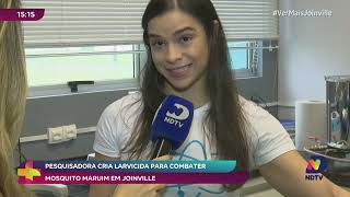 Pesquisadora cria larvicida para combater mosquito Maruim em Joinville [upl. by Edobalo]