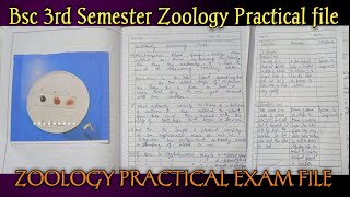 Bsc 2nd Year 3rd Semester Zoology Practical Exam File  Zoology Practical Exam File zoology [upl. by Ellitnahc]