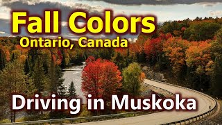 Colors of Canada I Driving to Huntsville Muskoka Ontario [upl. by Olvan]