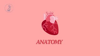 47  Duodenum divisions positions syntopy draw scheme blood supply [upl. by Bettencourt975]