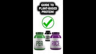 Best Plant Based Protein To Build Muscle [upl. by Bellew169]