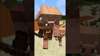 What Is The Zombified Piglin In Minecraft [upl. by Amaryl892]