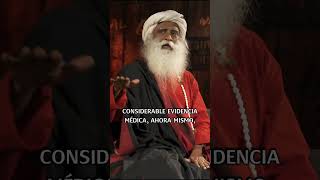 sadhguru lamarinchen espiritualidad conciencia lama despertar reflexion amor trascender [upl. by Asilla]