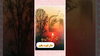 Maere sb duayn tara lealove youtubeshorts wadie e fikar [upl. by Ingold579]