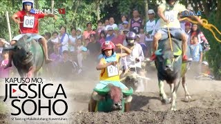 Kapuso Mo Jessica Soho Kakaibang karera ng kalabaw sa South Cotabato kinaaaliwan [upl. by Zeuqram380]