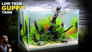 THE GUPPY TANK LOW TECH LOW BUDGET AQUASCAPE TUTORIAL [upl. by Eimor162]