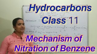 Mechanism of nitration of benzene Hydrocarbons Class 11 NCERT Nitration Of Benzene [upl. by Carolynn]