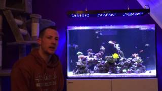 Red Sea Reefer 250 Der Umzug mit dem Aquarium [upl. by Ronn]