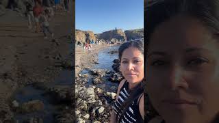 I walked on glass mendocino glassbeach [upl. by Harberd]